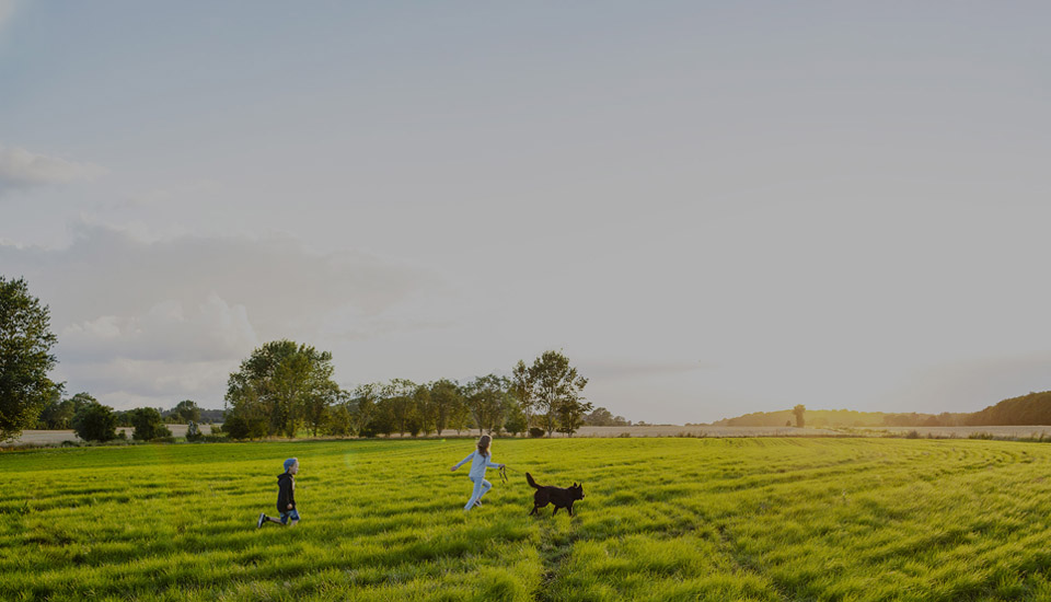 350vip浦京集团(集团)有限公司官网