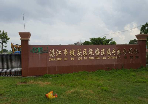 PP电子游戏藕粉粉丝粉条出产线已经在昌都莲藕合作社起头工作了