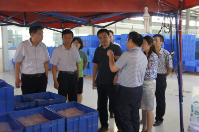 通许县**莅临首页| PP电子游戏中国区官方网站食品公司