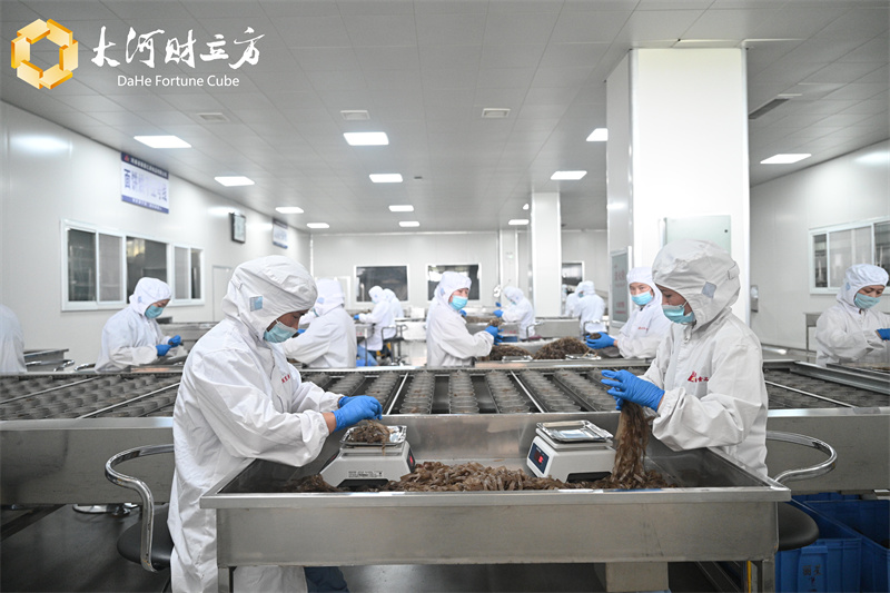 方便粉丝机出产线 方便粉丝机出产线