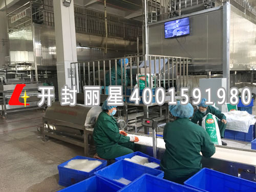 1730701512966161 干粉条粉丝出机.jpg
