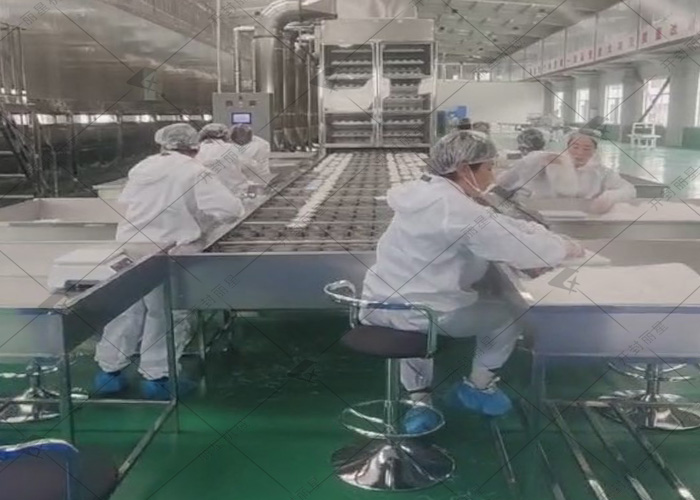 1741657102427663 酸辣粉加工设备.jpg